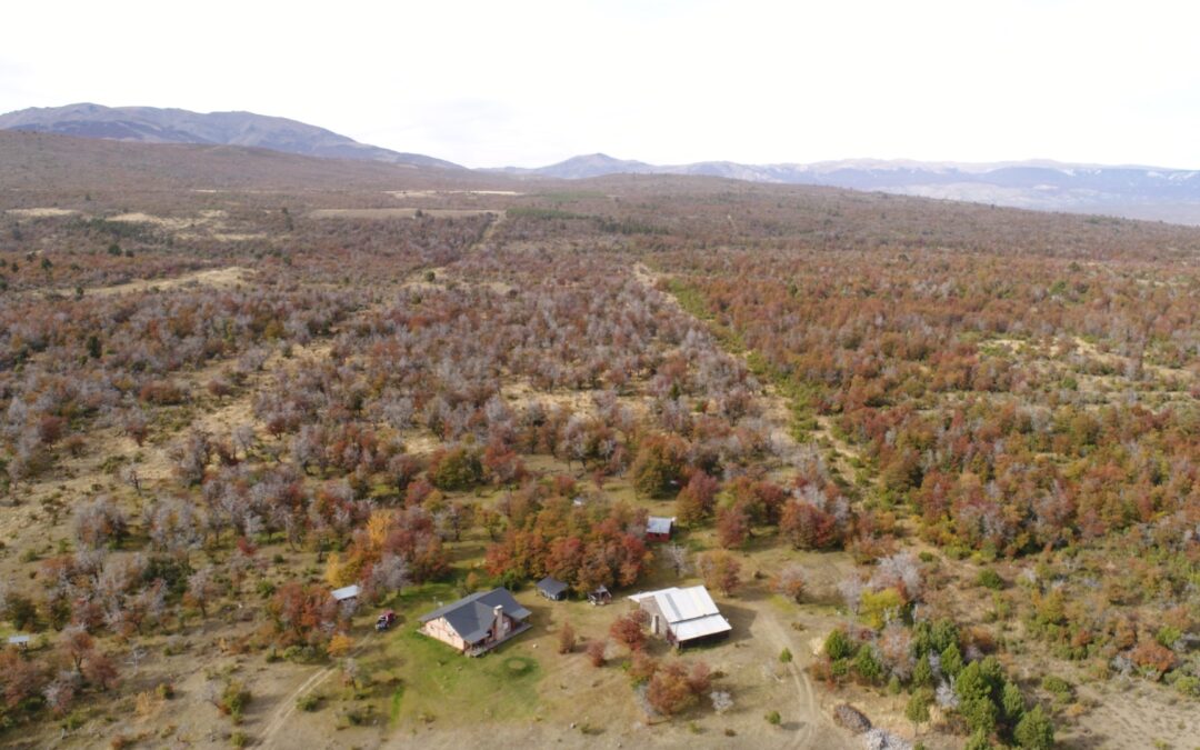 Campo en Lago Rosario
